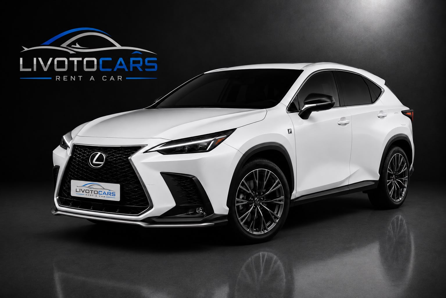 LEXUS NX kiralık araç