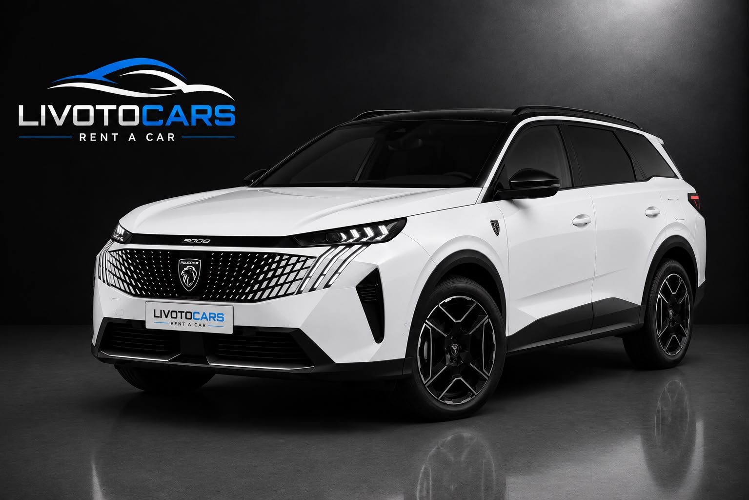 PEUGEOT 3008 kiralık araç